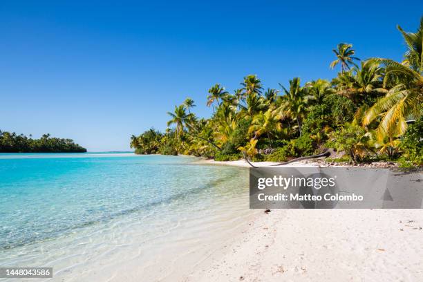 beach, one foot island, aitutaki, cook islands - cook islands stock pictures, royalty-free photos & images
