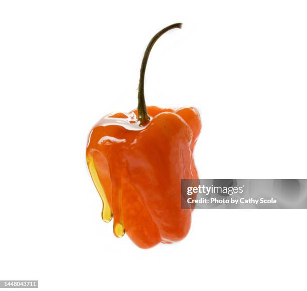 habanero pepper - habanero stock pictures, royalty-free photos & images