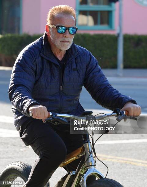 Arnold Schwarzenegger is seen on December 09, 2022 in Santa Monica, California.