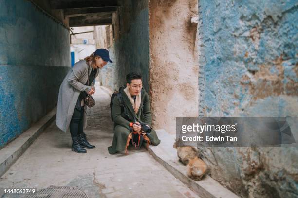 asian chinese couple tourist photographing cats at narrow alley in the old medina of fez, morocco - bucket list stock pictures, royalty-free photos & images