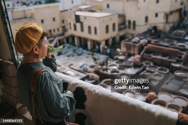 asian chinese female tourist smelling mint leaf avoid unpleasant smell from chouwara leather traditional tannery in ancient medina of fes el bali, morocco, africa. - medina district stock pictures, royalty-free photos & images