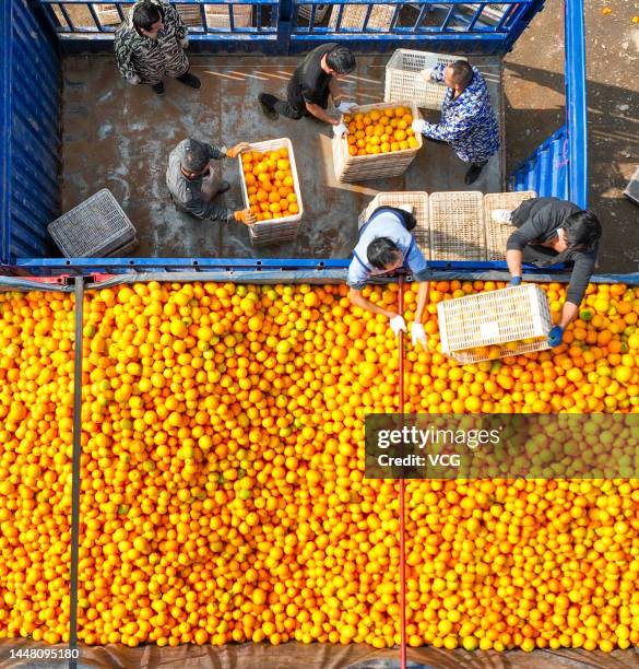 Farmers load crates of navel oranges onto a truck in a filed on December 9, 2022 in Daoxian County, Yongzhou City, Hunan Province of China.