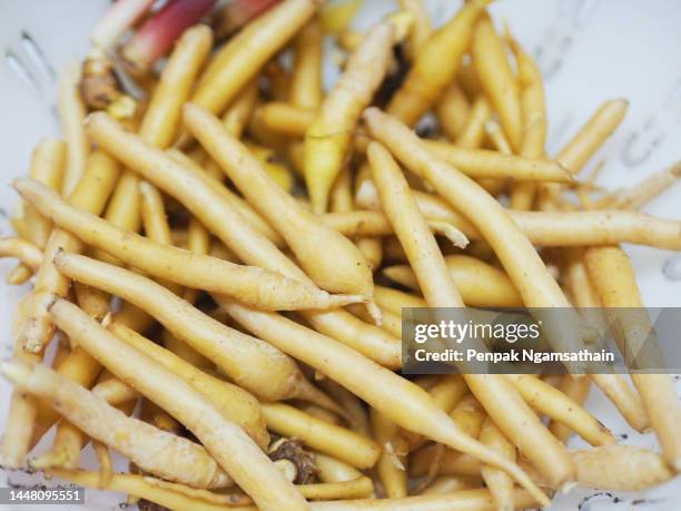 boesenbergia rotunda kaempferia cochinchinensis gagnep. white plastic basket, vegetable food herb thai on white background, covid-19 coronavirus - boesenbergia stock pictures, royalty-free photos & images