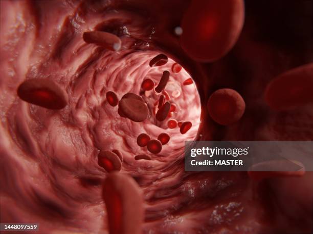 red blood cells in artery - vaso sanguigno foto e immagini stock