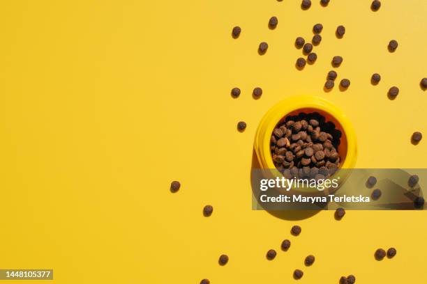 animal food and accessories. food bowl. pets cats and dogs. diet for animals. pet shop. veterinarian. pet care. - feeding cat stock pictures, royalty-free photos & images