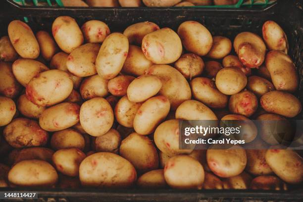 raw organic potatoes on market stall - carol cook stockfoto's en -beelden