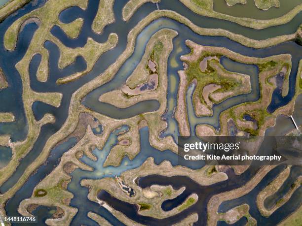 labyrinthe - vendée fotografías e imágenes de stock