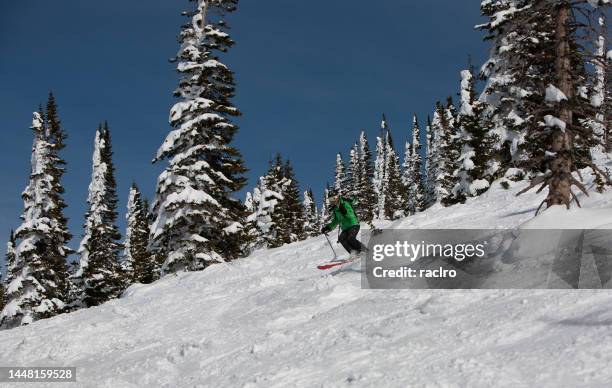 experta mujer madura mogul esquiadora cerca de árboles nevados. estación de esquí steamboat, colorado. - mogul skiing fotografías e imágenes de stock