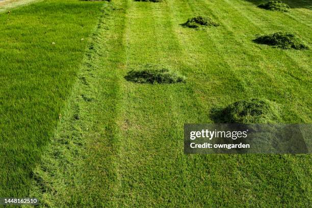 piles of fresh cut grass - rasenmäher freisteller stock-fotos und bilder