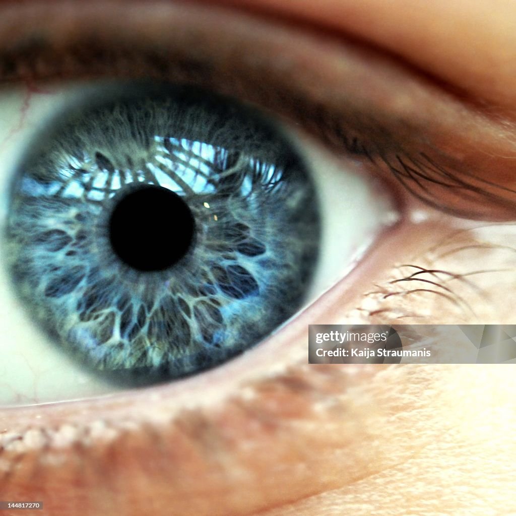 Macro of blue female eye