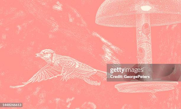 blue jay flying away from bird feeder - beautiful backyard stock illustrations