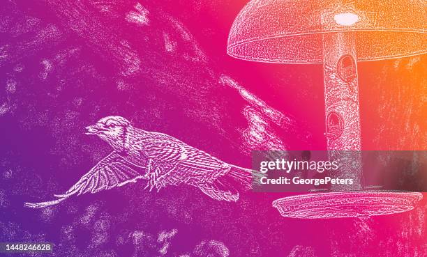 blue jay flying away from bird feeder - eating nuts stock illustrations