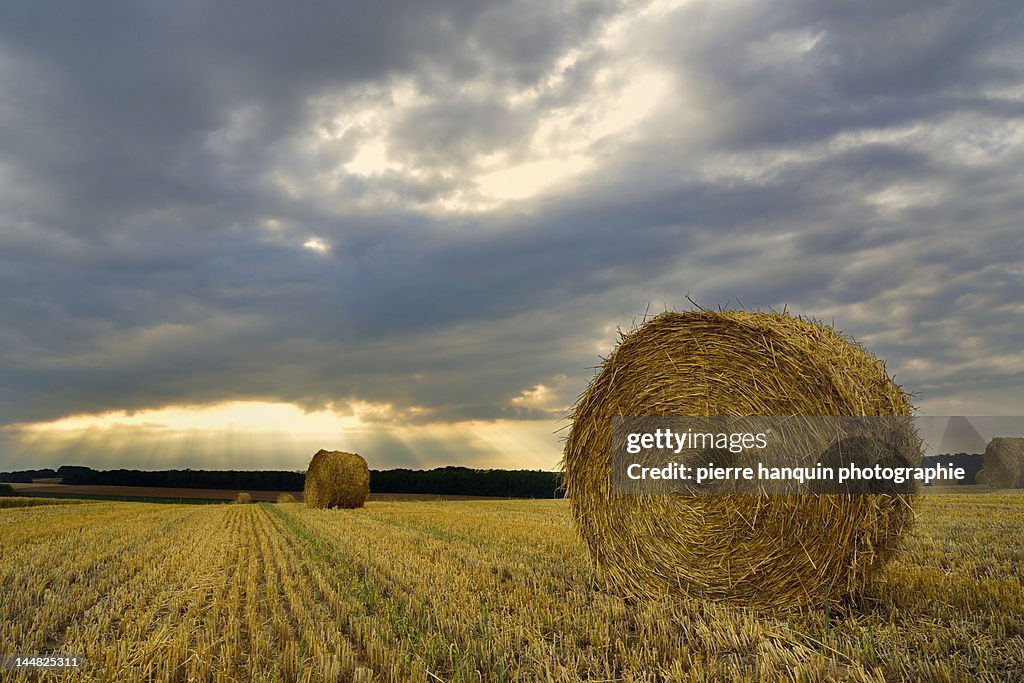 Field in sunset with straw bales