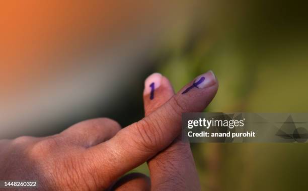 vote india vote - bjp india foto e immagini stock