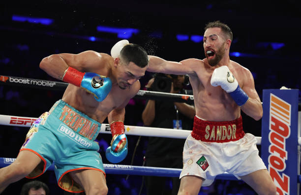 Sandor Martin punches Teofimo Lopez during their junior welterweight bout at Madison Square Garden on December 10, 2022 in New York City.
