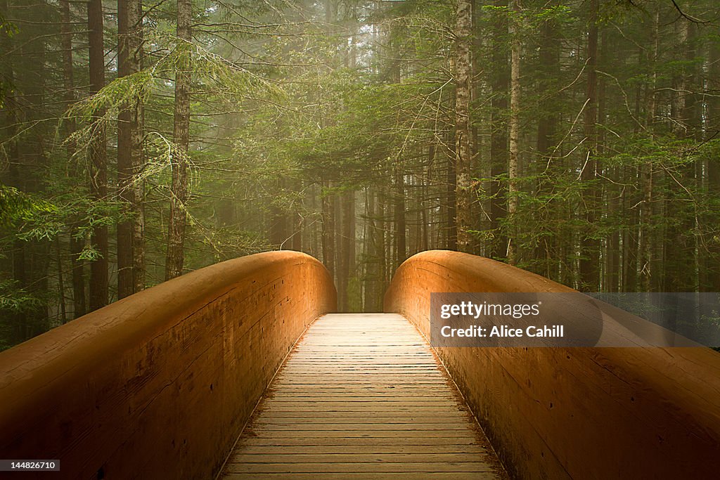 Sun beam of light leading into bridge