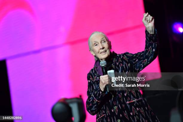 Jane Goodall speaks at the 2022 LA3C Festival at Los Angeles State Historic Park on December 10, 2022 in Los Angeles, California.