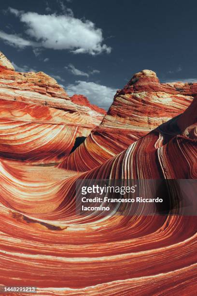 the wave rock formation - strate géologique photos et images de collection