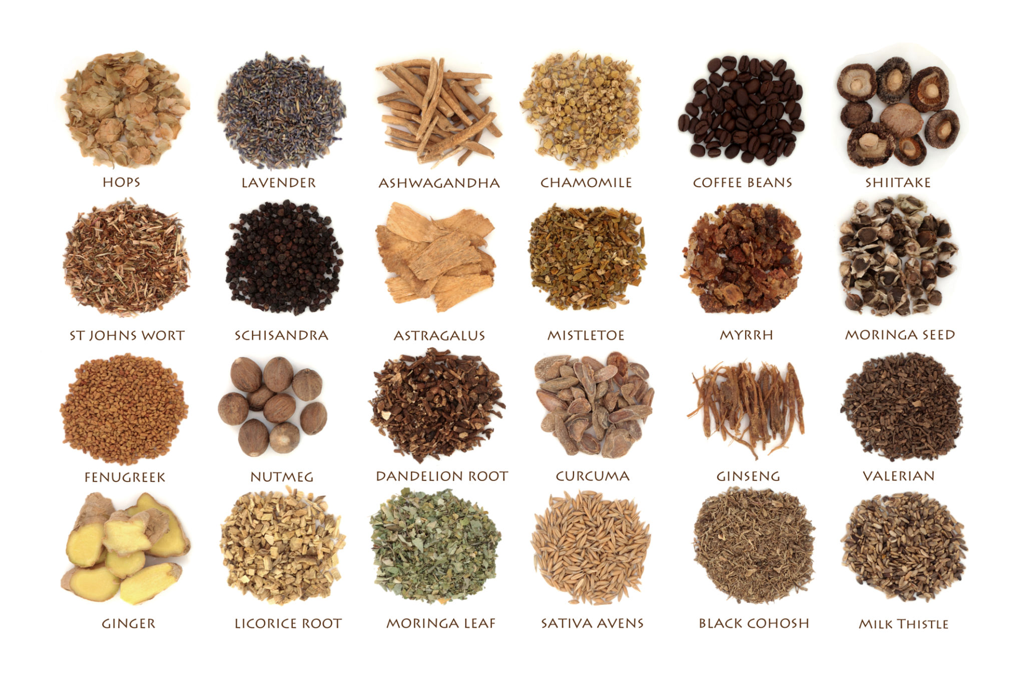 Large Collection of Nervine Health Food Large Collection of Nervine Health Food