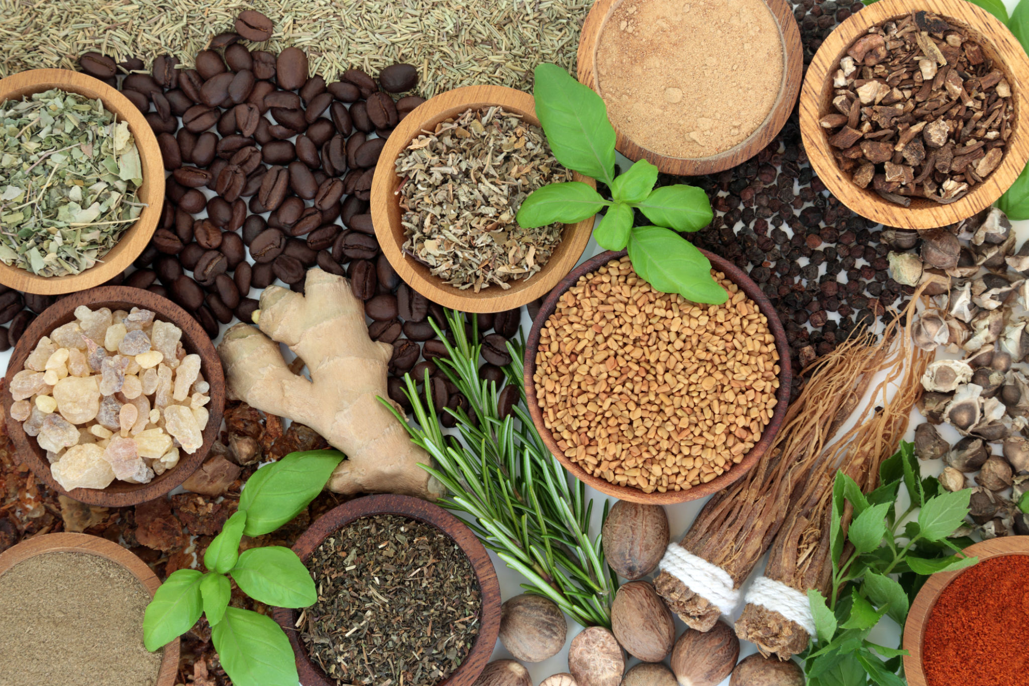 adaptogenic herbs