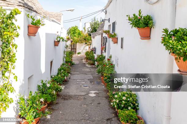 streets of alberobello - apulia, italy. - alberobello foto e immagini stock