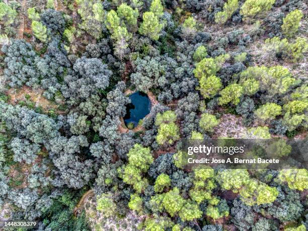 aerial view of an agricultural irrigation raft in a forest area. - eichenwäldchen stock-fotos und bilder