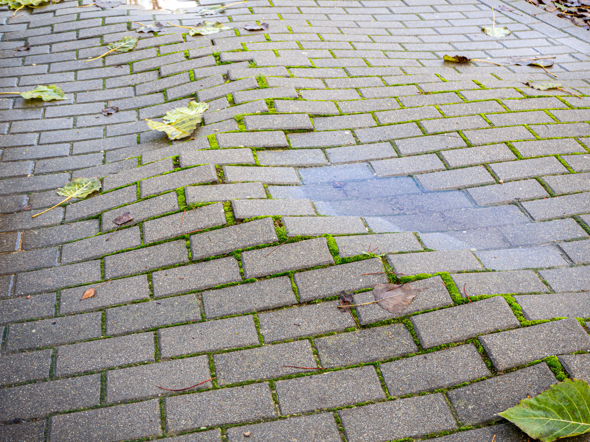 weather impact on paving