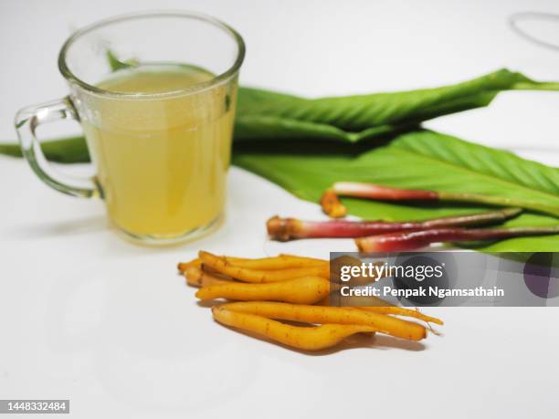 boesenbergia rotunda kaempferia cochinchinensis gagnep. kaempferia ovata roscoe, kaempferia pandurata roxb tree booming in garden, water hot drink vegetable food herb thai in clear grass, covid-19 viruscorona - boesenbergia stock pictures, royalty-free photos & images