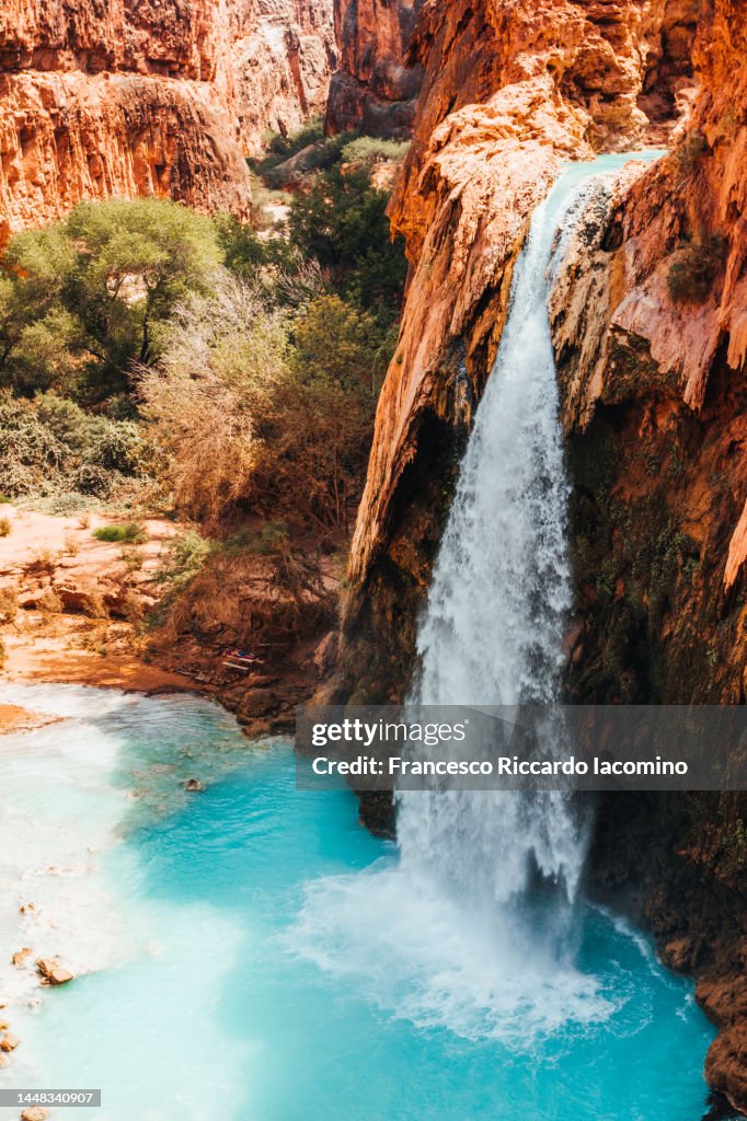 Havasu Falls, wild oasis in the Grand Canyon