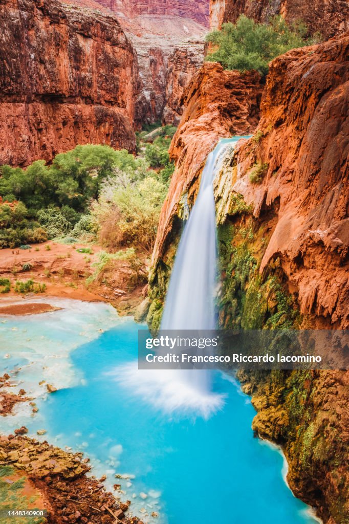 Oasis in the Grand Canyon