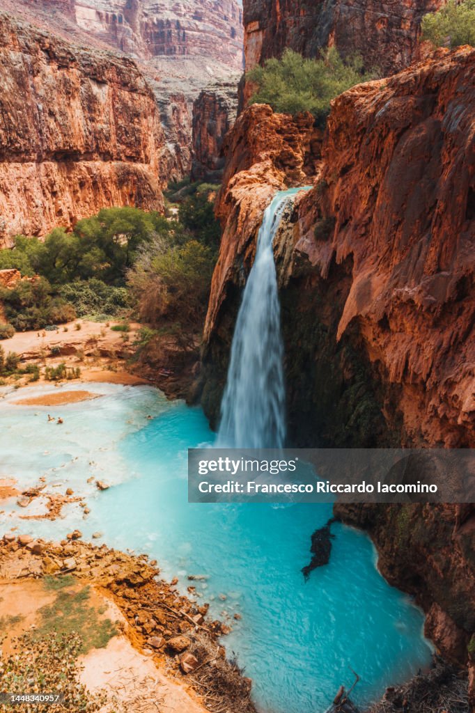 Havasu Falls, wild oasis in the Grand Canyon
