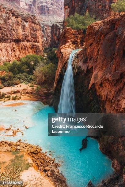 havasu falls, wild oasis in the grand canyon - grand canyon rock formation stock pictures, royalty-free photos & images