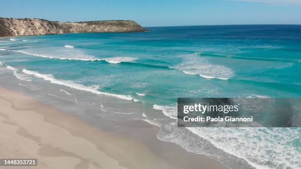 pennington bay is a wonderful beach in kangaroo island, south australia. aerial view from drone - kangaroo island australia stock pictures, royalty-free photos & images