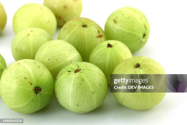 fresh gooseberries on white background - stachelbeere stock-fotos und bilder