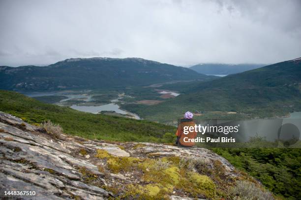 woman exploring ushuaia nature, panoramic view from the cerro guanaco in the national park tierra del fuego,  , patagonia, argentina - argentinien island stock pictures, royalty-free photos & images
