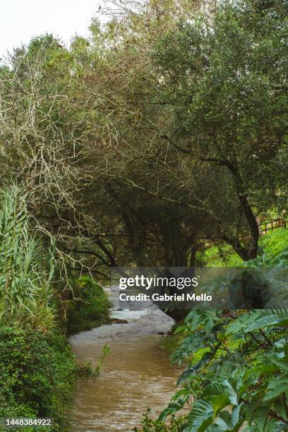 water canal at trilho da riberira das vinhas in cascais - trilho fotografías e imágenes de stock