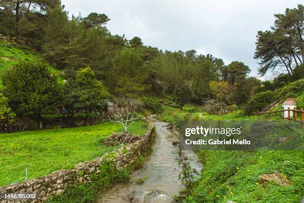 water canal at trilho da riberira das vinhas in cascais - trilho 個照片及圖片檔