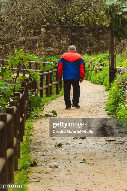 rear view of man walking at trilho da ribeira das vinhas - trilho 個照片及圖片檔