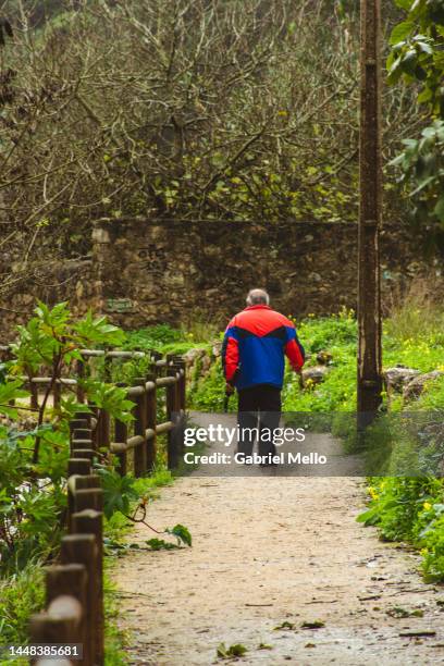 rear view of man walking at trilho da ribeira das vinhas - trilho 個照片及圖片檔