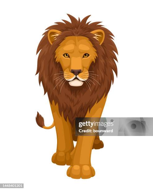 illustrazioni stock, clip art, cartoni animati e icone di tendenza di leone. vista frontale. - lion