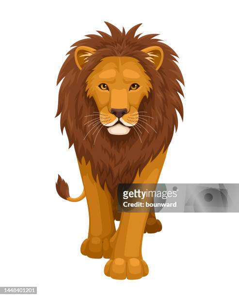 lion. front view. - lion tattoo stock illustrations