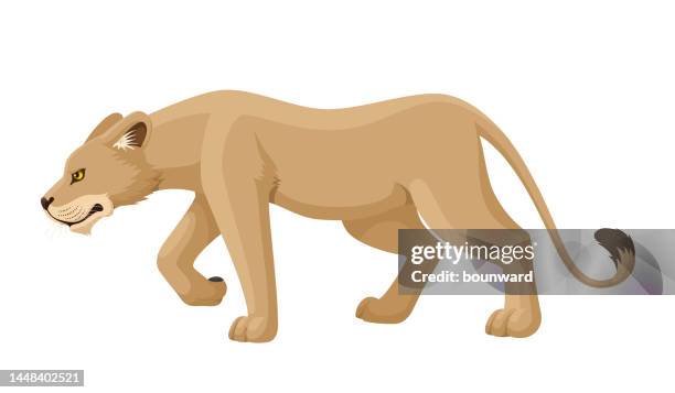 stockillustraties, clipart, cartoons en iconen met lioness hunting. flat design. - leeuwin