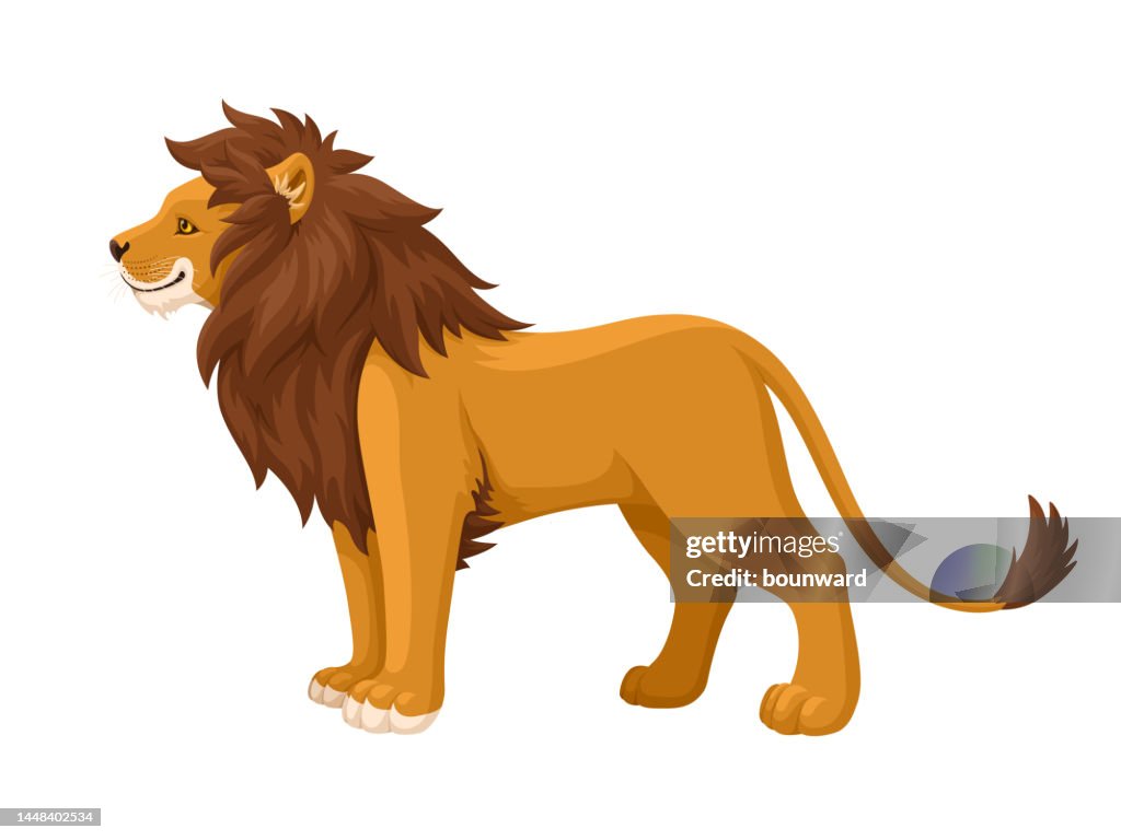Lion. Side View.