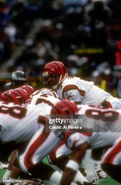 Quarterback Boomer Esiason of the Cincinnati Bengals calls a play in the game between the Cincinnati Bengals vs the Philadelphia Eagles at Veterans...