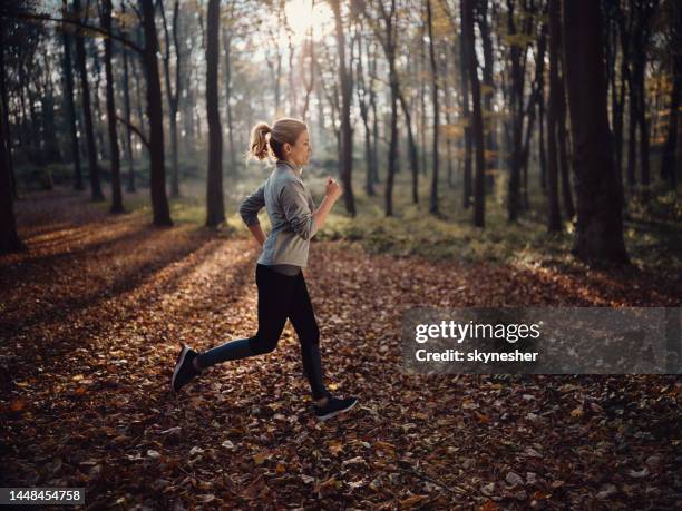 young female athlete running during autumn day in nature. - runner warming up stock pictures, royalty-free photos & images