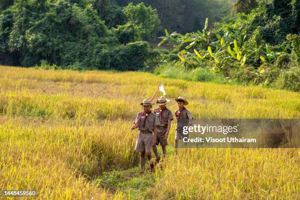 children scouts boys having fun during adventure travel,camping,travel,hike. - boy scouts stock pictures, royalty-free photos & images