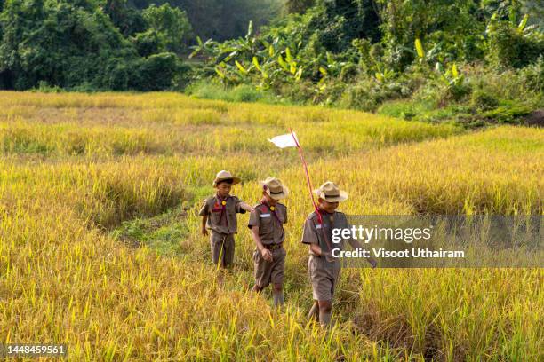 group of happy boy scout walking in forest on sunny spring day. - boy scouts of america stock pictures, royalty-free photos & images