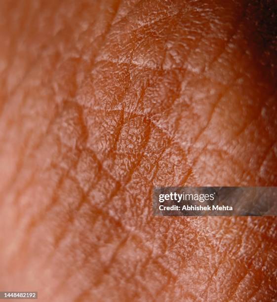 skin texture macro - human skin texture stock pictures, royalty-free photos & images