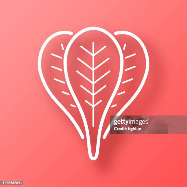 spinach. icon on red background with shadow - spinach stock illustrations