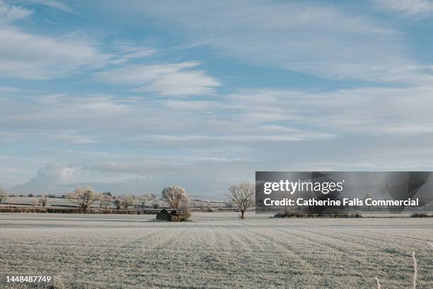 a vast, open landscape of a ploughed field in wintertime. - chuva congelada imagens e fotografias de stock